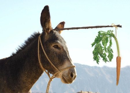 zanahoriadelburro